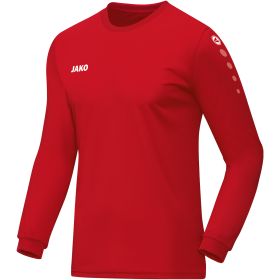 Uomo - Maglia Team M/L